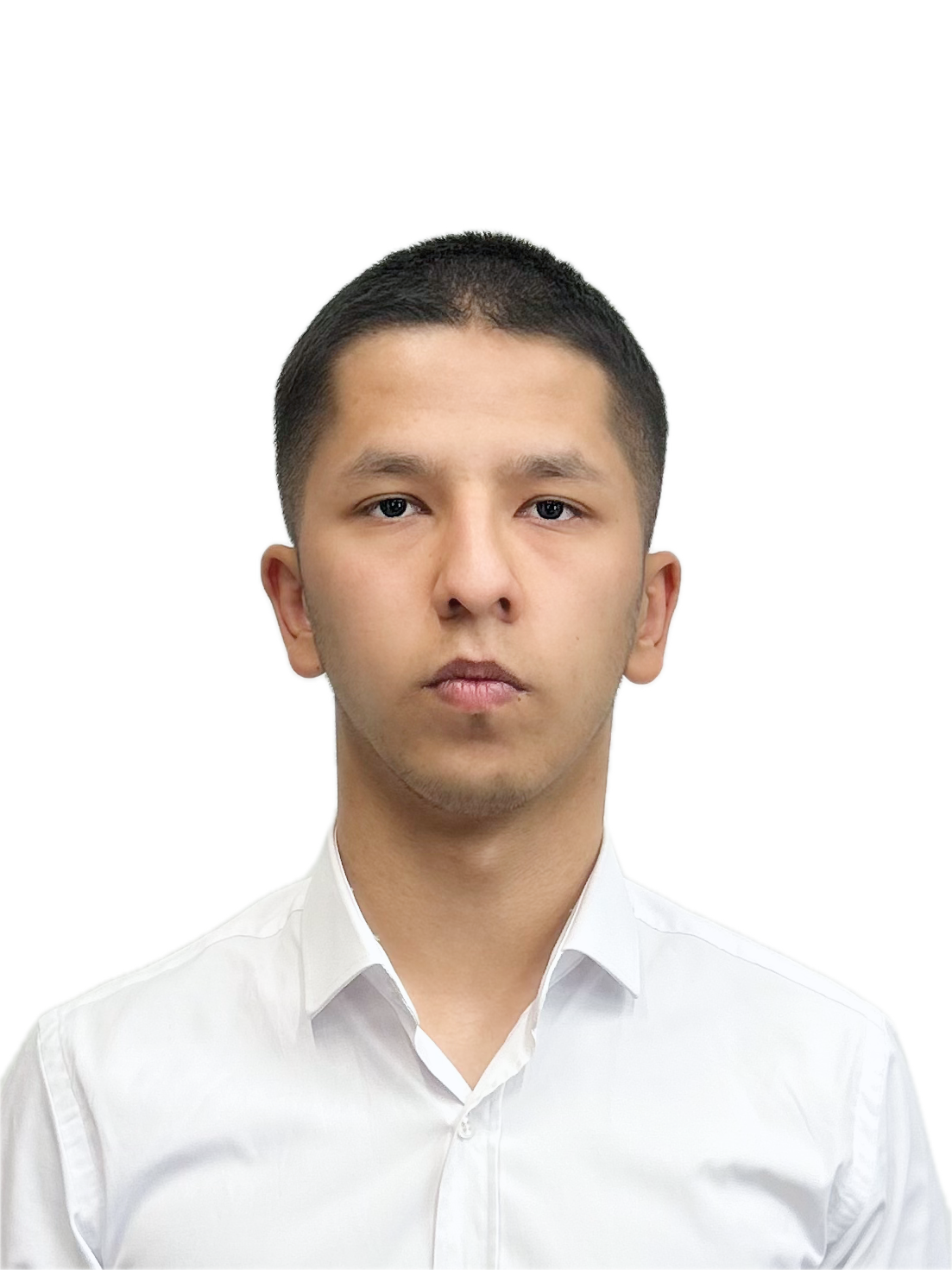 Галерея команды 2
